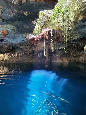 Ruta de los Cenotes