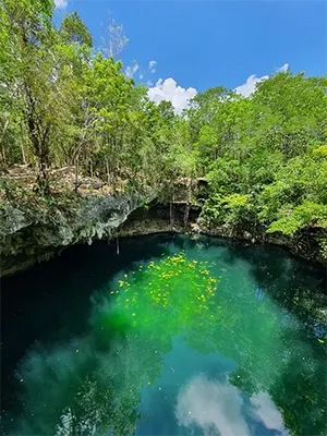 Tour de Cenotes y Cuatrimotos