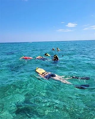 Snorkel con transporte desde Cancun