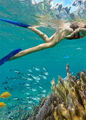 Snorkel en el arrecife y Cuatrimotos desde Cancun